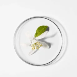 DECLÉOR Decléor Neroli Bigarade Hydrating Aromessence Serum For Dry And Dehydrated Skin 15ml 15 DECLÉOR Decléor Neroli Bigarade Hydrating Aromessence Serum For Dry And Dehydrated Skin 15ml -Skincare Store 10360106 1604988941869768