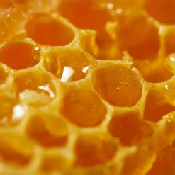 NUXE Baume Levres Reve De Miel - Honey Lip Balm (15g) -Skincare Store 10548881 1544898183103600