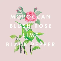 NEOM Organics Reed Diffuser: Complete Bliss (100ml) -Skincare Store 10970381 6544824845280555