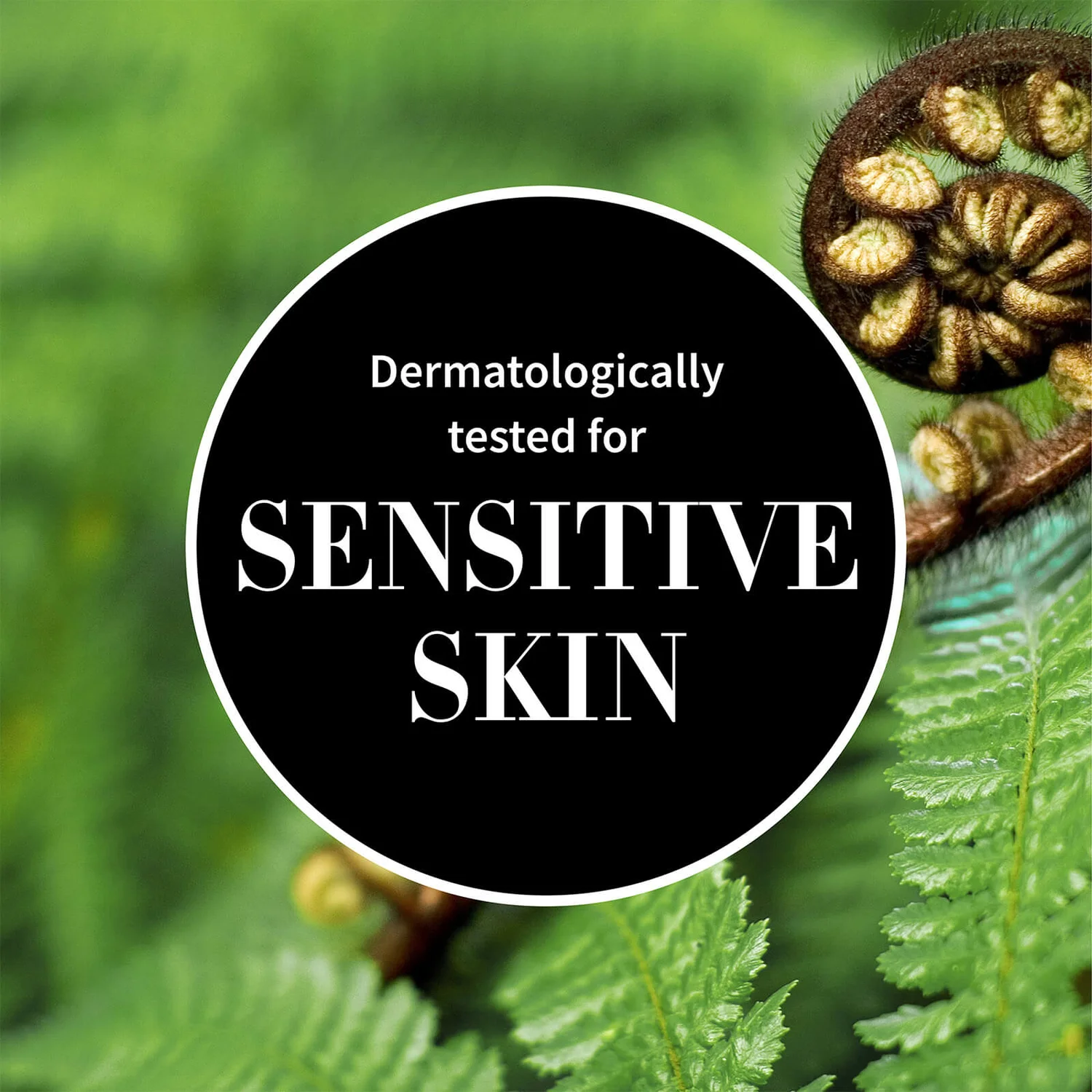 Αντίποδες Ananda Antioxidant-Rich Gentle Toner 100ml 2 Αντίποδες Ananda Antioxidant-Rich Gentle Toner 100ml - Image 2