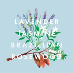 NEOM Real Luxury De-Stress Intensive Skin Treatment Candle 9 NEOM Real Luxury De-Stress Intensive Skin Treatment Candle -Skincare Store 11138679 1424824846071664