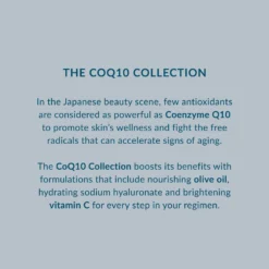 DHC Q10 Cream (30g) 10 DHC Q10 Cream (30g) -Skincare Store 11207574 1524908367516830