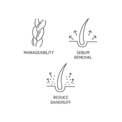 System Professional Purify Shampeeling 150ml 8 System Professional Purify Shampeeling 150ml -Skincare Store 11314982 1214853361874545