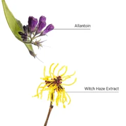 System Professional Purify Shampeeling 150ml 9 System Professional Purify Shampeeling 150ml -Skincare Store 11314982 1454853361920505