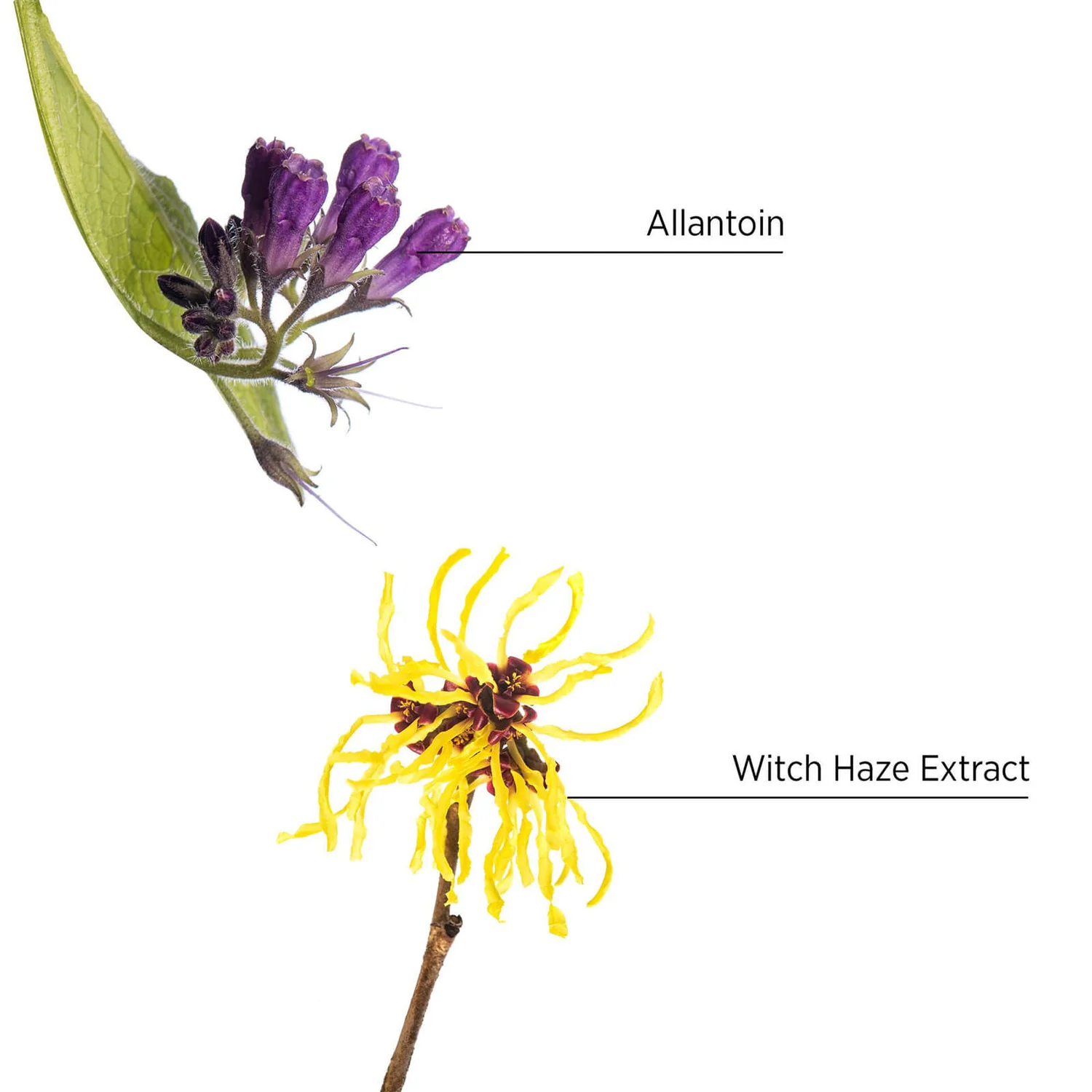 System Professional Purify Shampeeling 150ml 5 System Professional Purify Shampeeling 150ml - Image 5