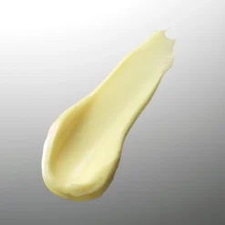 Eve Lom Time Retreat Regenerative Night Cream 50ml -Skincare Store 11401397 1954963546365408