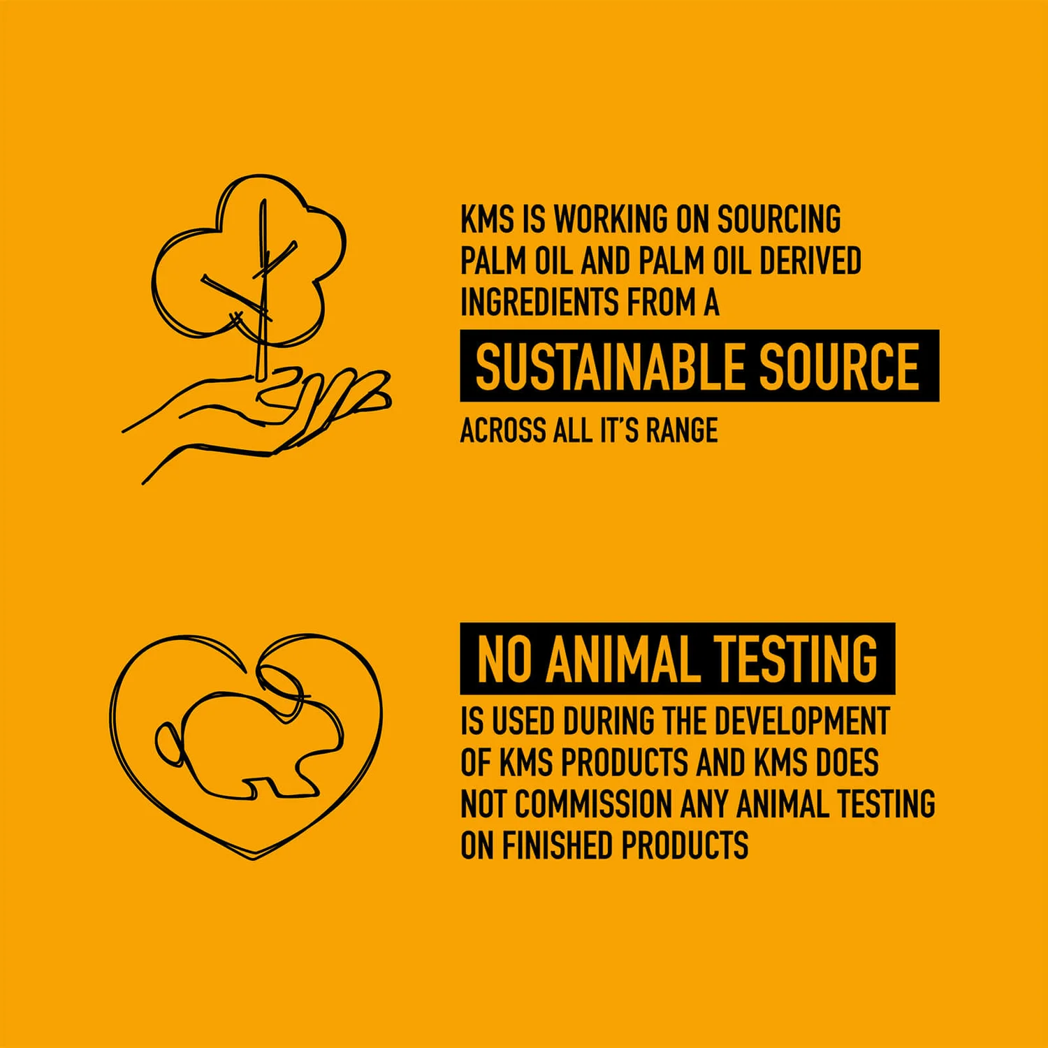 KMS TameFrizz De-Frizz Oil 100ml 7 KMS TameFrizz De-Frizz Oil 100ml - Image 7