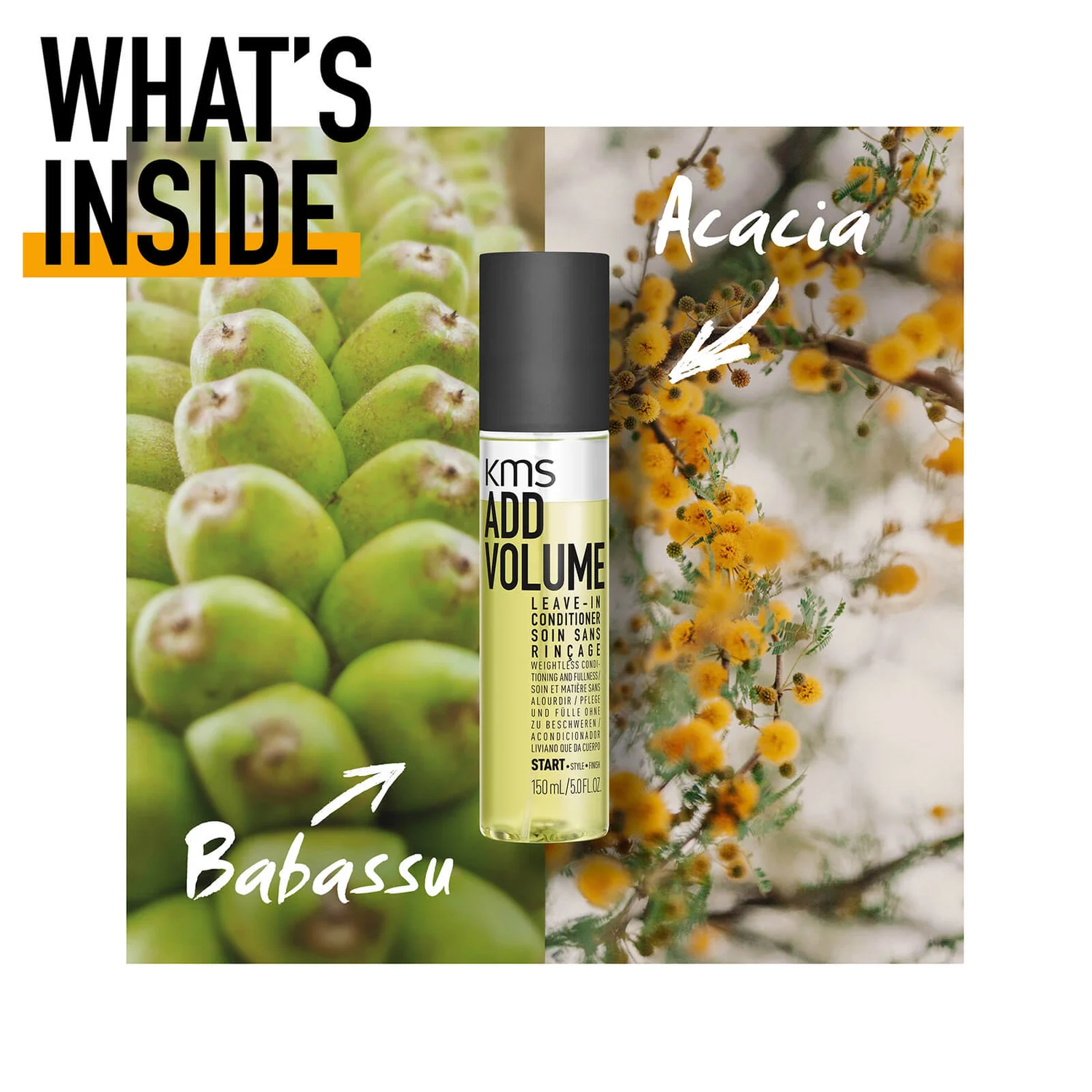 KMS TameFrizz De-Frizz Oil 100ml 5 KMS TameFrizz De-Frizz Oil 100ml - Image 5