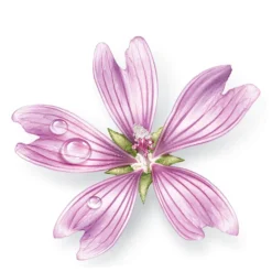 Mavala Aqua Plus Multi-Moisturising Sleeping Mask 75ml -Skincare Store 11484398 1354508932586505