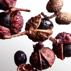 Davidoff Cool Water Wave Man Eau De Toilette 75ml -Skincare Store 11517858 3224658700281046