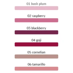 Dr. Hauschka Lip Gloss 5 Dr. Hauschka Lip Gloss -Skincare Store 11691888 1694710559996272