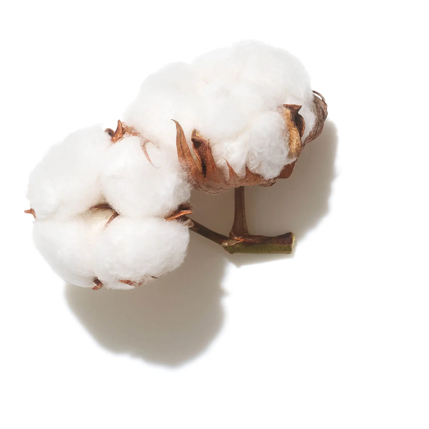 Wella Professionals Invigo Volume Boost Uplifting Care Spray 150ml 5 Wella Professionals Invigo Volume Boost Uplifting Care Spray 150ml - Image 5