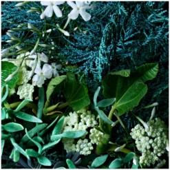 Molton Brown Coastal Cypress And Sea Fennel Bath And Shower Gel 300ml -Skincare Store 11739213 8064619596440849