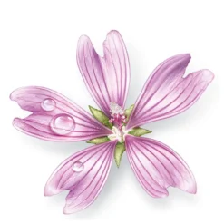 Mavala The Essentials Multi-Moisturising Set (Worth £40.18) -Skincare Store 11766092 2004623012437961