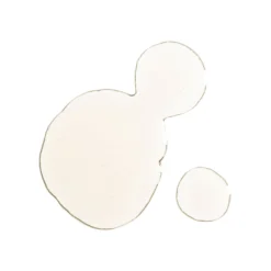 NIOD RE: Pigment Serum 30ml 6 NIOD RE: Pigment Serum 30ml -Skincare Store 11833541 9495089765329585