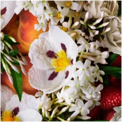 Molton Brown Jasmine & Sun Rose Body Lotion -Skincare Store 11835661 1174604525783166