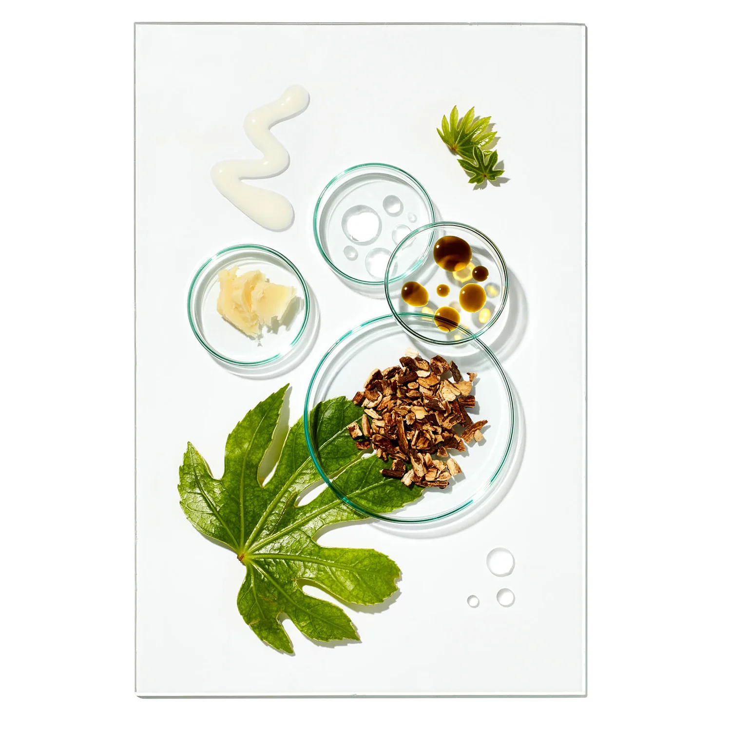 Grow Gorgeous Balance Hair Detox (Worth £60.00) 2 Grow Gorgeous Balance Hair Detox (Worth £60.00) - Image 2