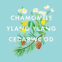 NEOM Bedtime Hero Essential Oil Blend -Skincare Store 12455616 7744824853554393