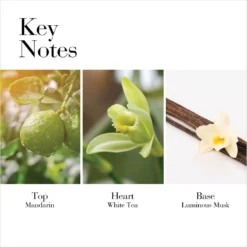 Elizabeth Arden White Tea Mandarin Blossom Eau De Toilette 100ml -Skincare Store 12490614 1024749455280609