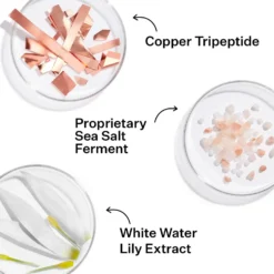 StriVectin SD Advanced PLUS Intensive Moisturising Concentrate 118ml -Skincare Store 12528621 1344886106017856