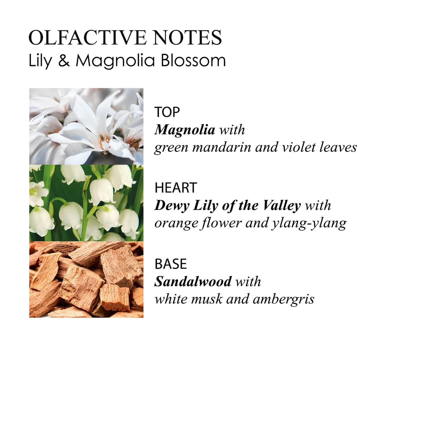 Molton Brown Lily & Magnolia Blossom Eau De Toilette 100ml 5 Molton Brown Lily & Magnolia Blossom Eau De Toilette 100ml - Image 5